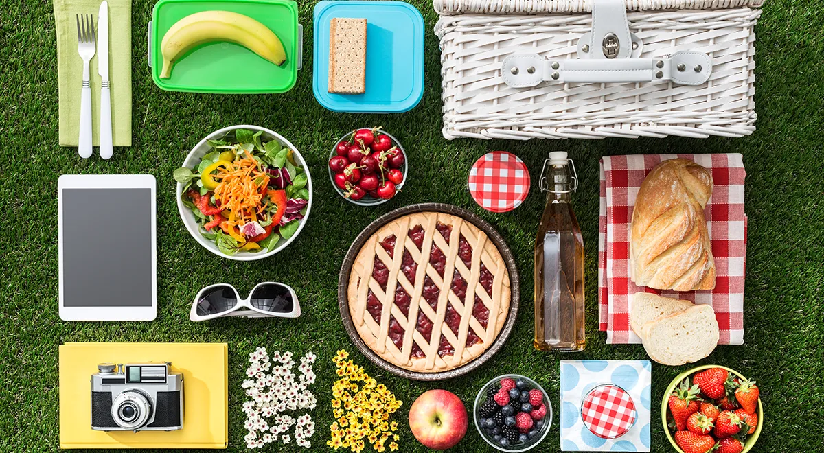 Cum să îți organizezi un picnic